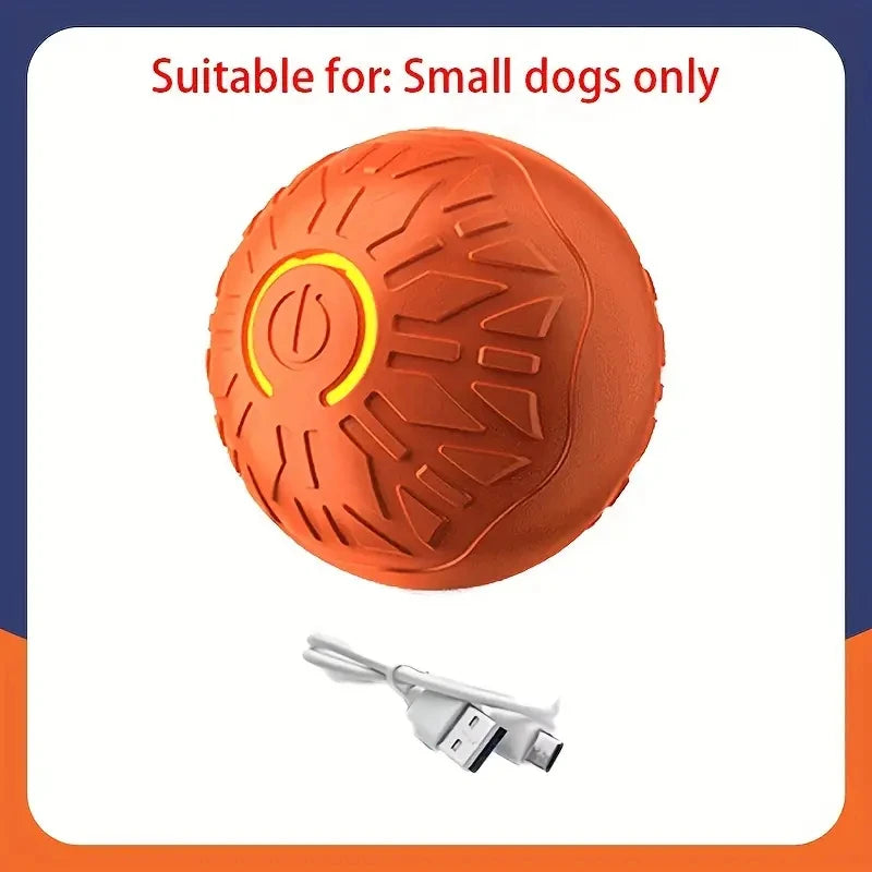 The Remedy ZenBall