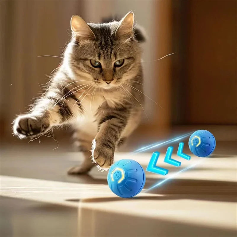 The Remedy ZenBall