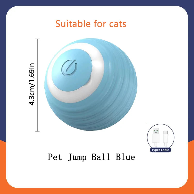 The Remedy ZenBall
