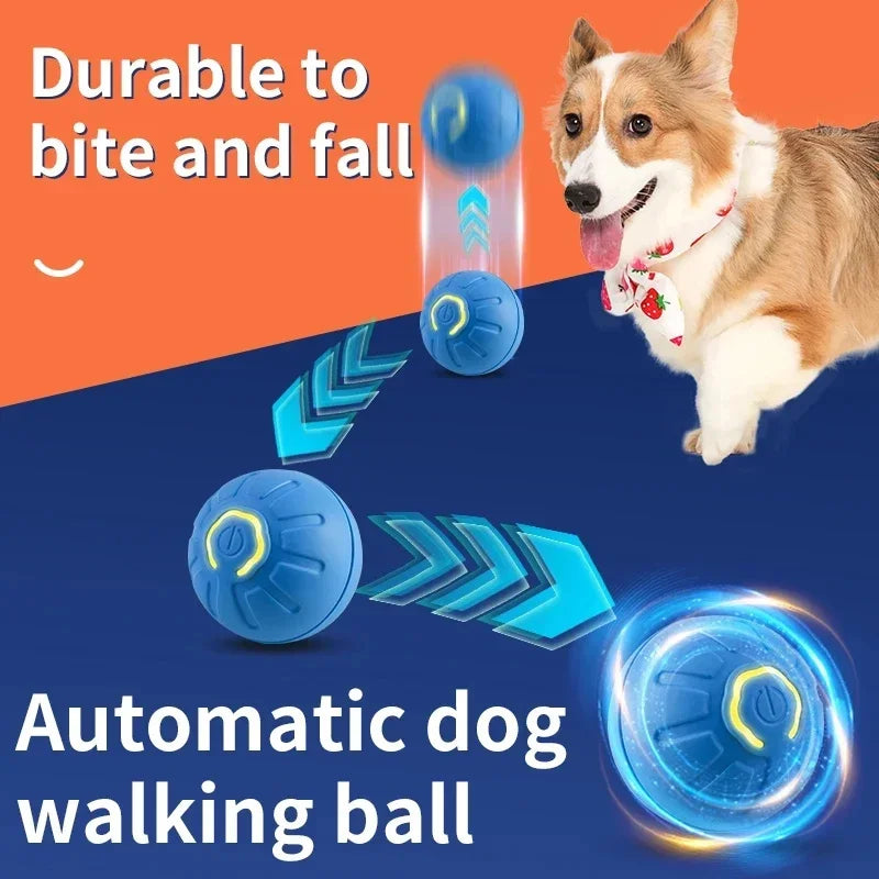 The Remedy ZenBall