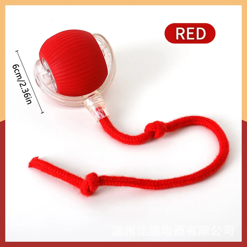 The Remedy ZenBall